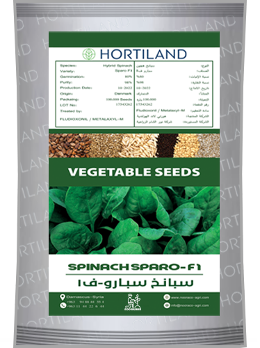 Hybrid Seeds